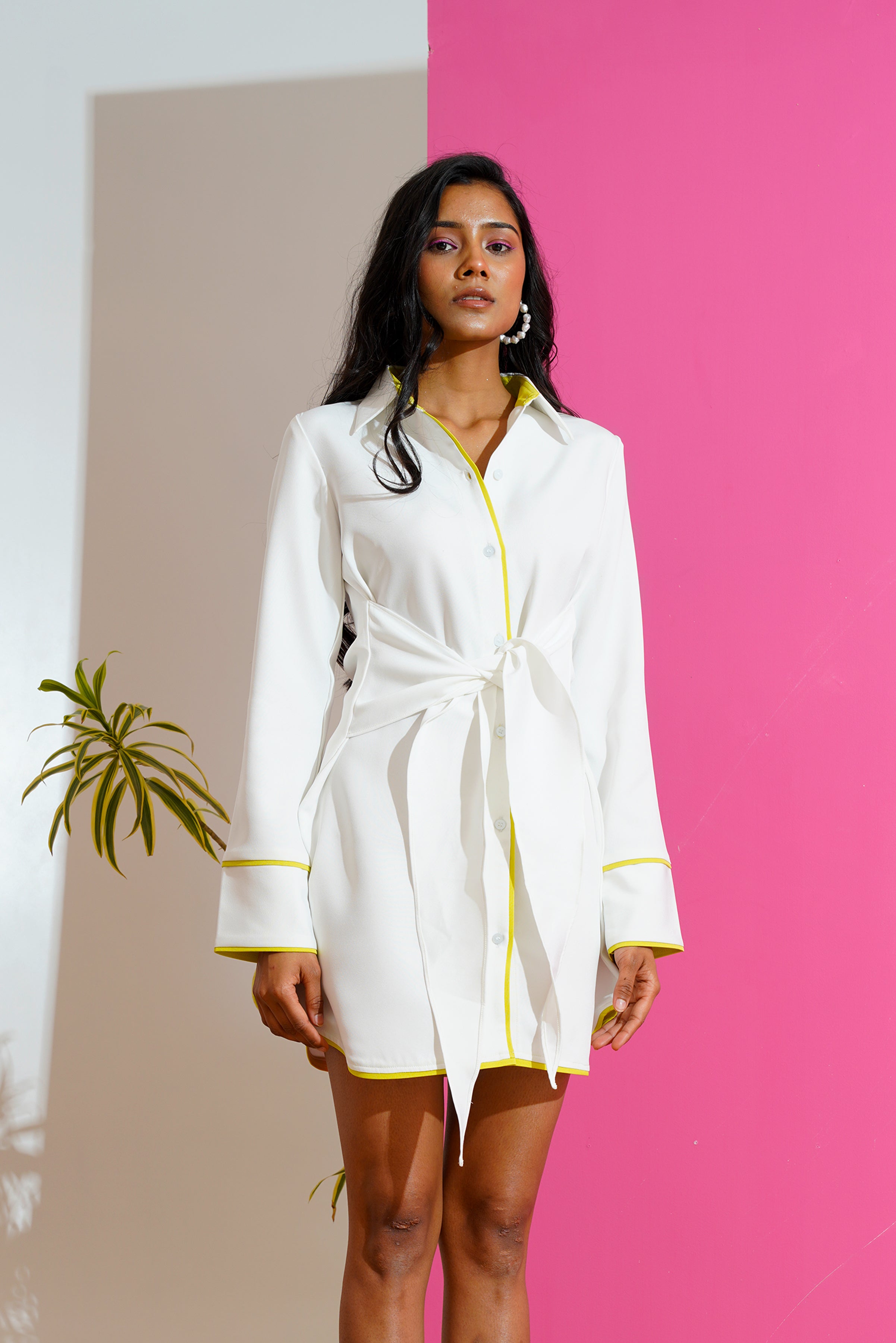 Swan Shirt Dress