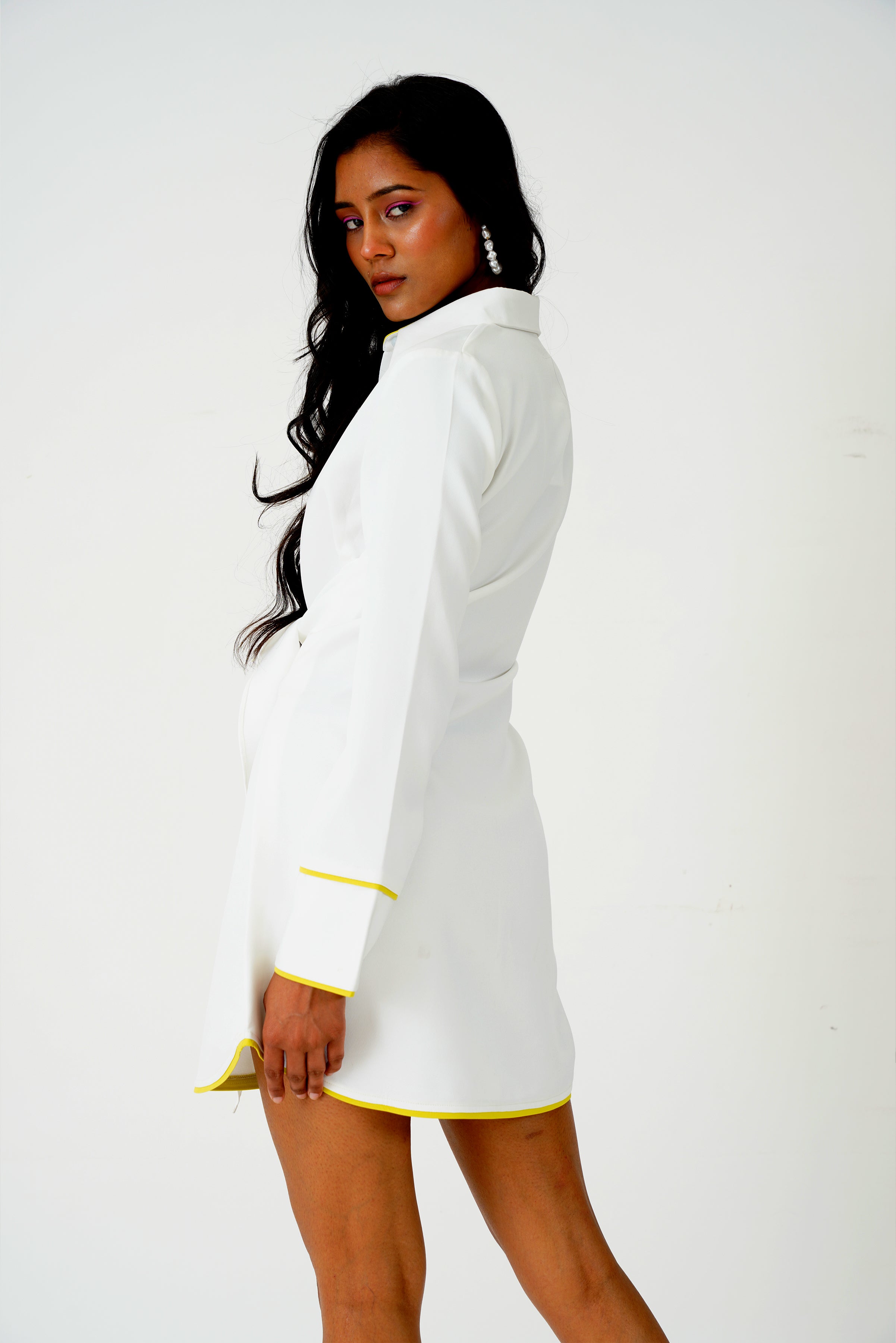 Swan Shirt Dress