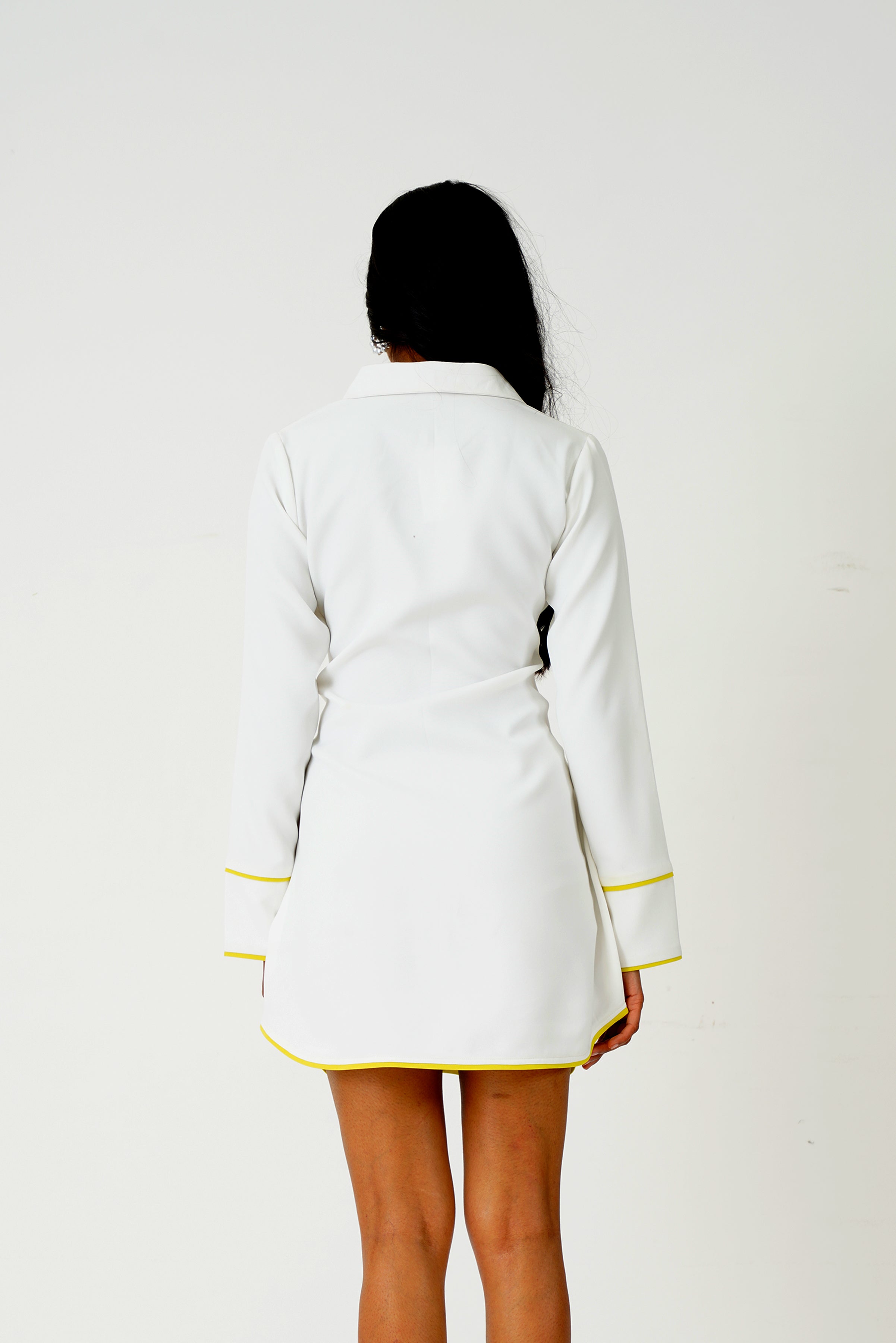 Swan Shirt Dress