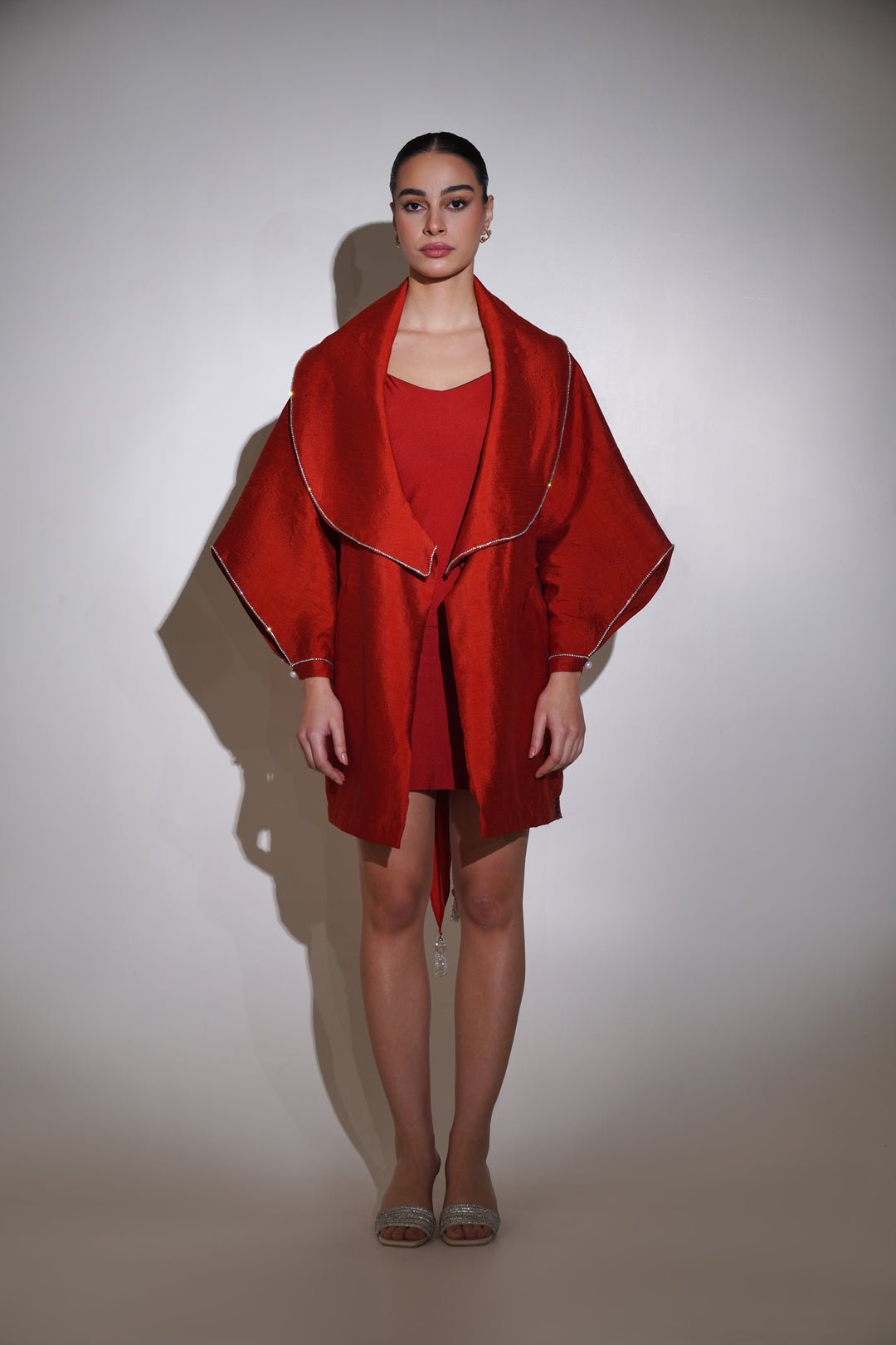 Lavi Dress/Overcoat